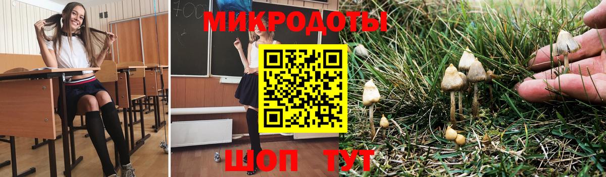 Псилоцибиновые грибы прущие грибы Чита