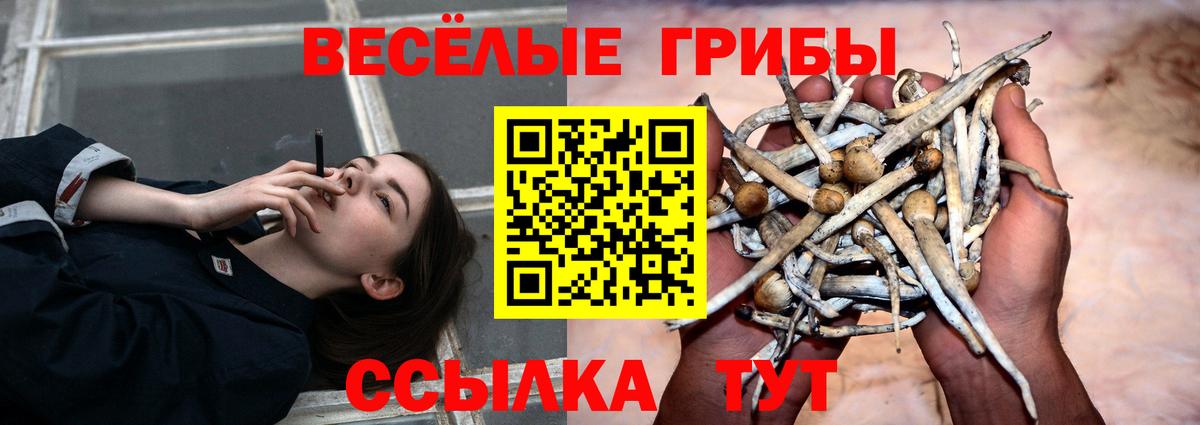 Чита  Галлюциногенные грибы GOLDEN TEACHER  Вход с VPN  Галлюциногенные грибы мицелий 